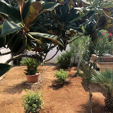 House Cortese Tatil Evi Lido Marini